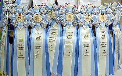 �������� �����  16-17 ������  2016 �. 169A3882.jpg