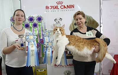 �������� �����  16-17 ������  2016 �. 5-18-169A3994.jpg