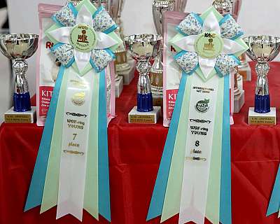 �������� �����  16-17 ������  2016 �. 169A3084.jpg