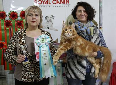 �������� �����  16-17 ������  2016 �. 2-12-169A3375.jpg