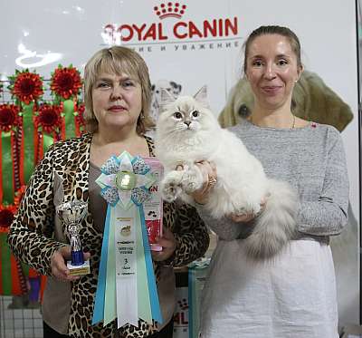 �������� �����  16-17 ������  2016 �. 3-54-169A3378.jpg