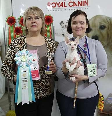 �������� �����  16-17 ������  2016 �. 4-82-169A3379.jpg