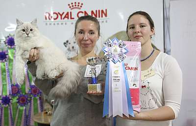 �������� �����  16-17 ������  2016 �. 1-54-169A4664.jpg