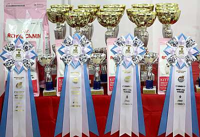 �������� �����  16-17 ������  2016 �. 169A4200.jpg