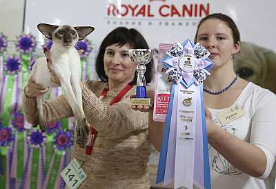 �������� �����  16-17 ������  2016 �. 3-140-169A4683.jpg