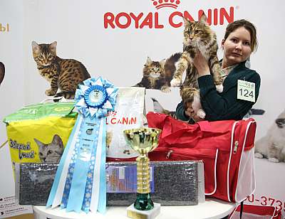 �������� �����  27-28 ������� 10-124-169A1171.jpg