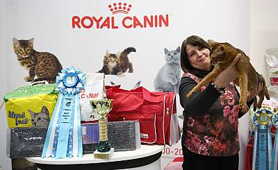 �������� �����  27-28 ������� 11-81-169A1211.jpg