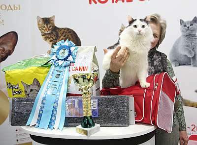 �������� �����  27-28 ������� 12-38-169A1179.jpg