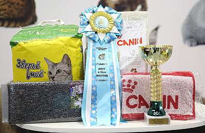 �������� �����  27-28 ������� 169A1113.jpg