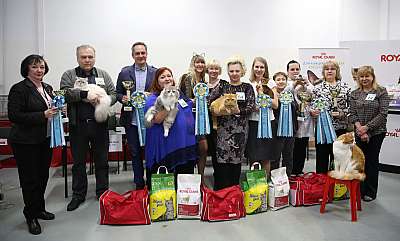 �������� �����  27-28 ������� 169A1225.jpg