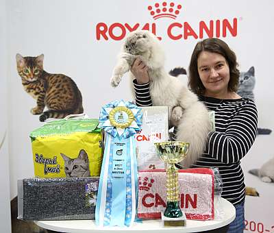 �������� �����  27-28 ������� 18-130-169A1125.jpg