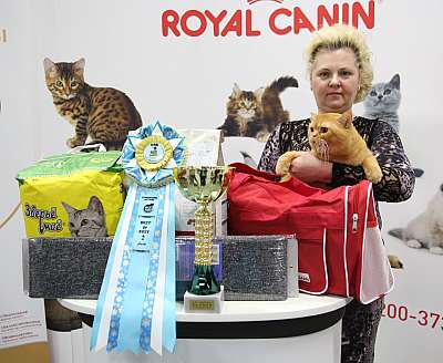 �������� �����  27-28 ������� 2-64-169A1252.jpg