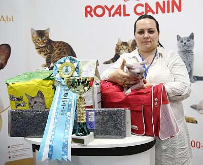 �������� �����  27-28 ������� 3-106-169A1232.jpg