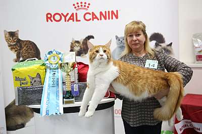 �������� �����  27-28 ������� 4-14-169A1259.jpg