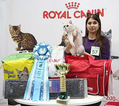 �������� �����  27-28 ������� 7-57-169A1194.jpg