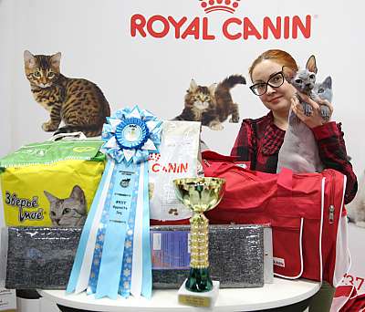 �������� �����  27-28 ������� 9-104-169A1214.jpg