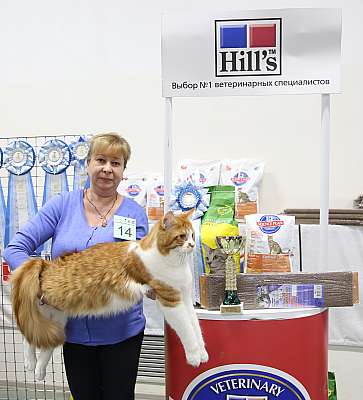 �������� �����  27-28 �������  201611-14-169A2590.jpg