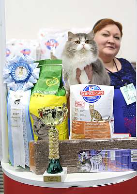 �������� �����  27-28 �������  201612-44-169A2601.jpg