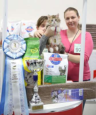 �������� �����  27-28 �������  201615-37-169A2564.jpg