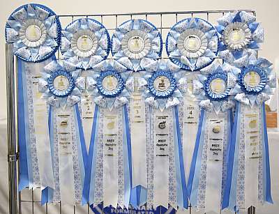 �������� �����  27-28 �������  2016169A2523.jpg