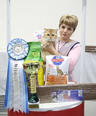 �������� �����  27-28 �������  20162-73-169A2652.jpg