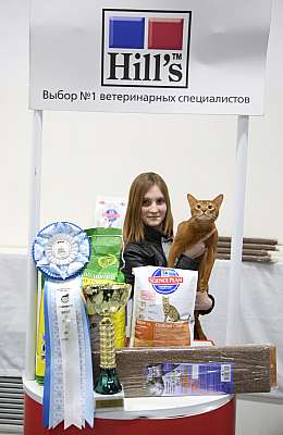 �������� �����  27-28 �������  20164-83-169A2640.jpg