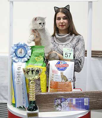 �������� �����  27-28 �������  20166-57-169A2646.jpg