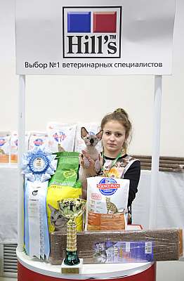 �������� �����  27-28 �������  20167-111-169A2624.jpg