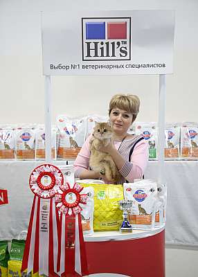 �������� �����  27-28 �������  20165-72-169A2185.jpg