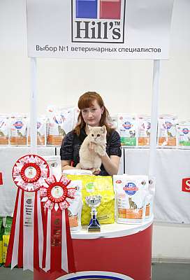 �������� �����  27-28 �������  20166-66-169A2207.jpg