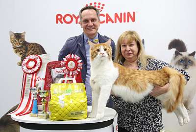 �������� �����  27-28 �������  20161-14-169A0128.jpg