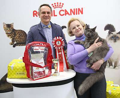 �������� �����  27-28 �������  20164-4-169A0142.jpg