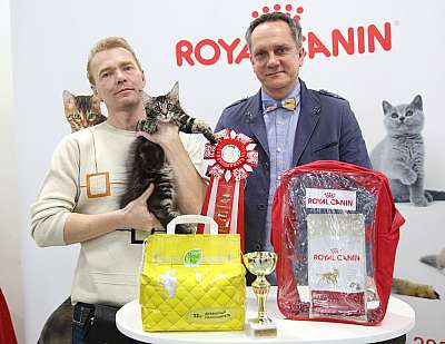 �������� �����  27-28 �������  20165-19-169A0156.jpg