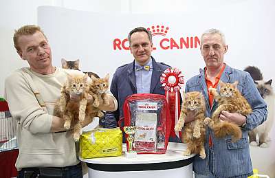 �������� �����  27-28 �������  20166-2-169A0150.jpg