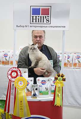 �������� �����  27-28 �������  20162-29-169A1560.jpg