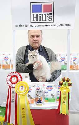 �������� �����  27-28 �������  20163-28-169A1546.jpg