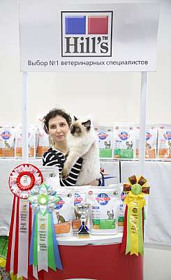 �������� �����  27-28 �������  20165-118-169A1554.jpg