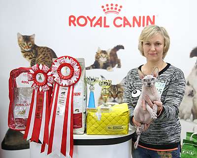 �������� �����  27-28 �������  20161-105-169A0613.jpg