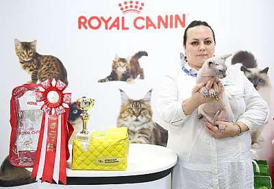 �������� �����  27-28 �������  20162-106-169A0624.jpg