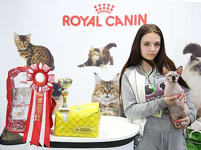 �������� �����  27-28 �������  201633-111-169A0630.jpg