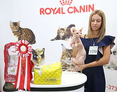 �������� �����  27-28 �������  20165-109-169A0620.jpg