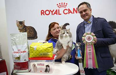 �������� �����  27-28 �������  20161-44-169A0922.jpg