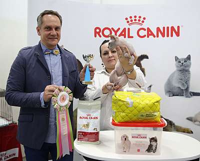 �������� �����  27-28 �������  20163-106-169A0906.jpg