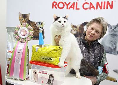 �������� �����  27-28 �������  20164-38-169A0885.jpg