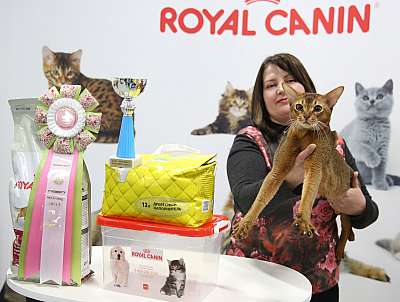 �������� �����  27-28 �������  20166-81-169A0877.jpg