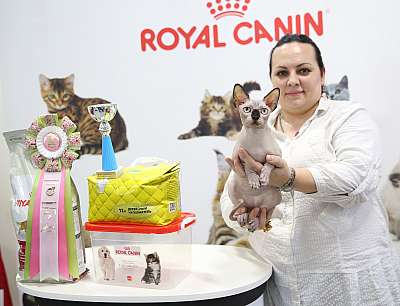 �������� �����  27-28 �������  20167-111-169A0871.jpg