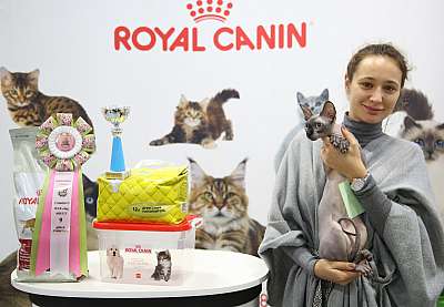 �������� �����  27-28 �������  20169-102-169A0866.jpg