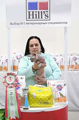 �������� �����  27-28 �������  20162-106-169A1920.jpg