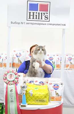 �������� �����  27-28 �������  20165-44-169A1896.jpg