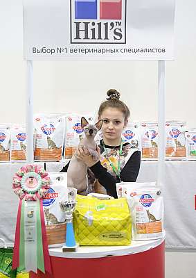 �������� �����  27-28 �������  20166-111-169A1917.jpg